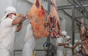 precio-exportacion-de-carne